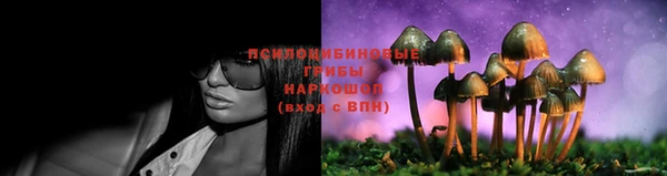 гидра Володарск
