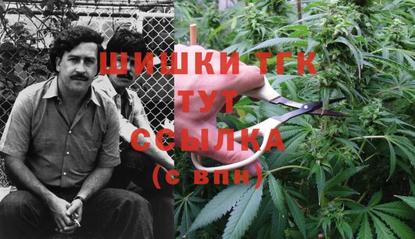 гидропоника Верея